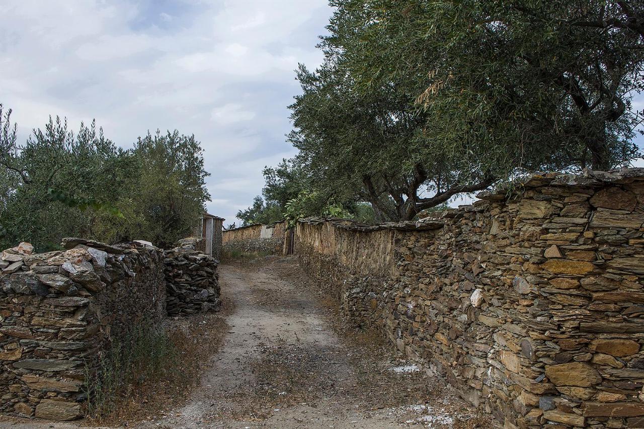 Casa Rural Julio Vegas Santiago Del Campo エクステリア 写真